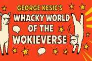 The Whacky World Of The Wokieverse Cafe Locked Out