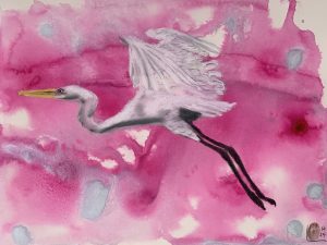 Watercolour painting of heron on pink background.
