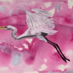 Watercolour painting of heron on pink background.