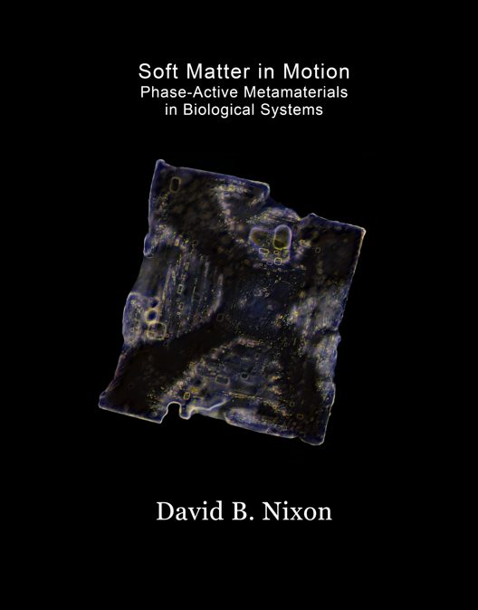 David Nixon. What do you do, after you’ve been shot for being a Messenger,