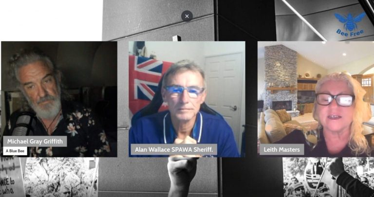 Three speakers shown in an online video discussion