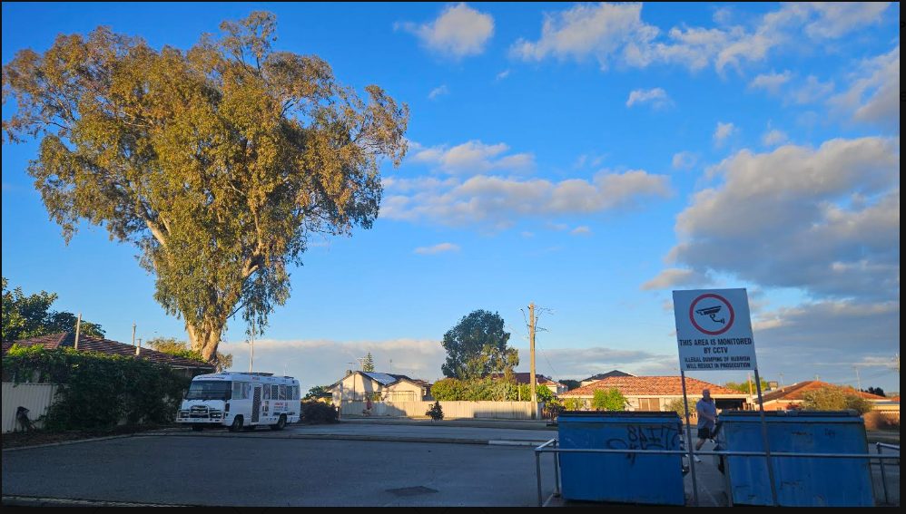 Large tree above suburban street and blue rubbish skips