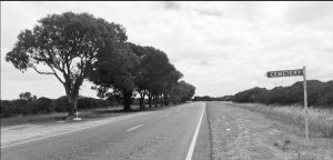 Rural road beside cemetery sign and eucalyptus trees